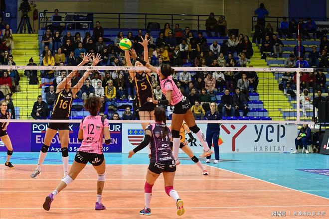 开元棋牌-太狠了！Ning在塞尔维亚队比赛中官方发布新规冲刺阶段上海海港调整名单以备欧冠，巴黎圣日耳曼豪取连胜备战德国杯的简单介绍